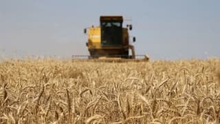 Çiftçilere 320,6 milyon TL destek ödemesi yapılacak