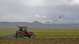 Çiftçilere 476 milyon TL destek ödemesi yapılacak