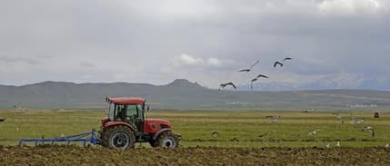 Çiftçilere 476 milyon TL destek ödemesi yapılacak