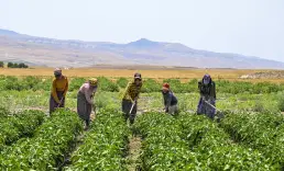 Çiftçilere 6 ayda 106 milyar lira destek ödemesi yapıldı
