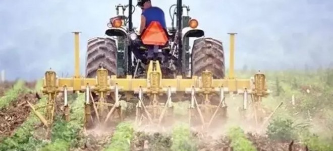 Çiftçilere bu yıl için ödenecek destekler belli oldu