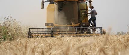 Çiftçilere bugün 19,5 milyar TL destek ödemesi yapılacak