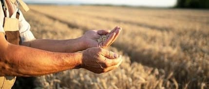 “Çiftçilere de 5 bin liralık emekli ikramiyesi verilecek” iddiası