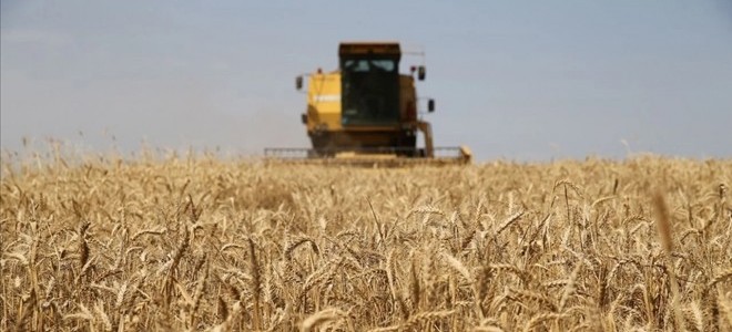 Çiftçilere yaklaşık 345 milyon TL'lik destek ödemesi yapılacak