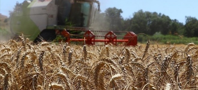 Çiftçilerin destek ödemeleri bugün hesaplara yatırılacak