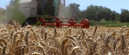 Çiftçilerin destek ödemeleri bugün hesaplara yatırılacak