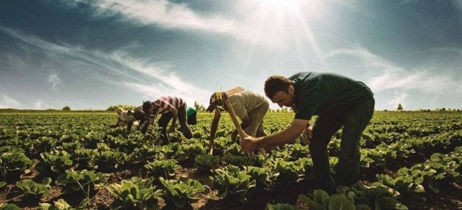Çiftçilerin sosyal güvenlik sistemine dahil edilmesi çağrısı