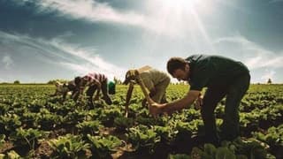 Çiftçilerin sosyal güvenlik sistemine dahil edilmesi çağrısı