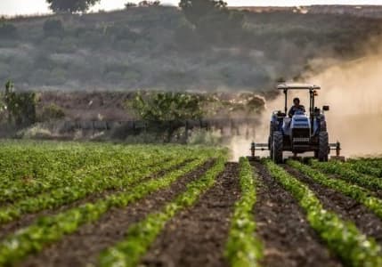 Çiftçinin enflasyonu ağustosta yavaşladı