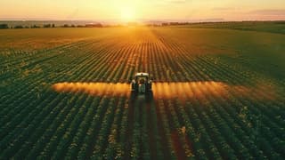 Çiftçinin enflasyonu kasımda ivme kazandı