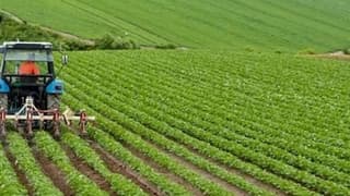 Çiftçinin enflasyonu yıllık bazda %127,56 arttı