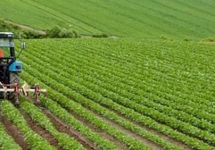 Çiftçinin enflasyonu yıllık bazda %127,56 arttı