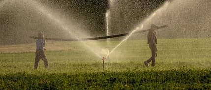 Çiftçinin eylül ayı enflasyonu belli oldu