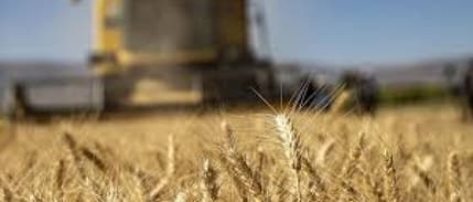 Çiftçinin girdi enflasyonu kasımda yüzde 38,82 oldu