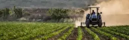 Çiftçinin mayıs enflasyonu belli oldu