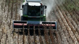 Çiftçinin şubat ayı enflasyonu belli oldu