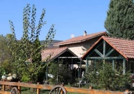 Çiftlik Sahipleri Tavuk Üretimini Durduruyor