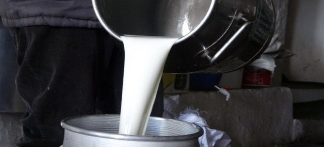 Çiğ süt fiyatlarına yeni düzenleme geldi