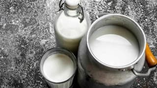 Çiğ sütün üretim maliyeti hesaplandı