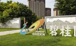 Çin'deki krizin yeni adı "Country Garden"