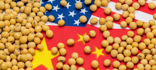 Çin'den ABD'ye soya fasulyesi taahhüdü