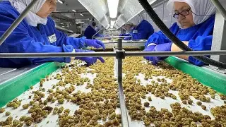 Çin en büyük üçüncü organik pazar oldu