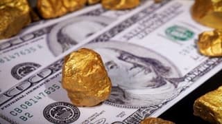 Citi’den altın fiyatları için yeni tahmin