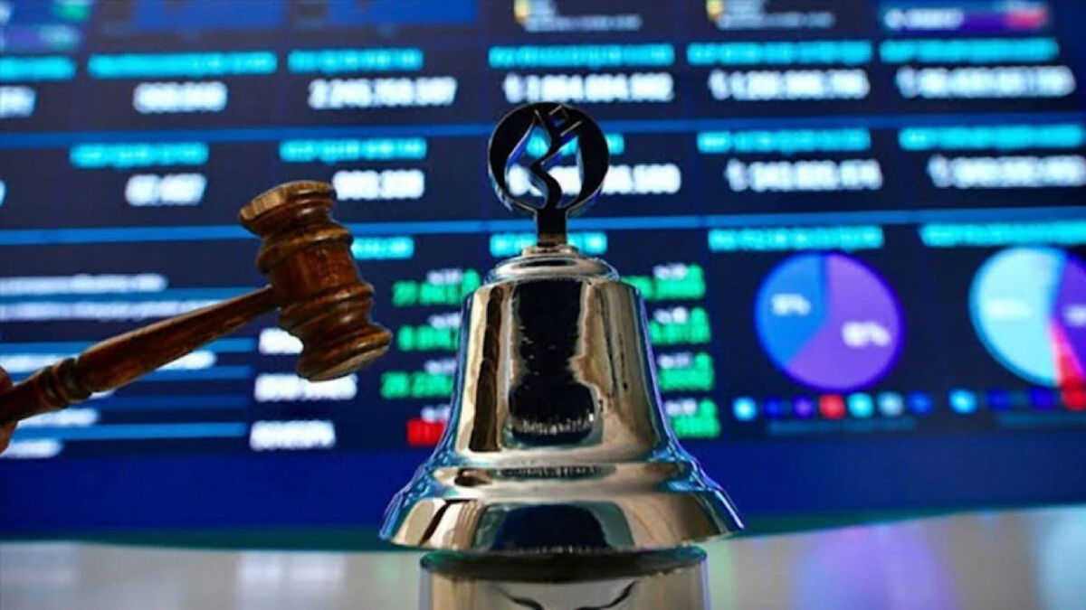 Daiichi Elektronik halka arz için ilk adımı attı