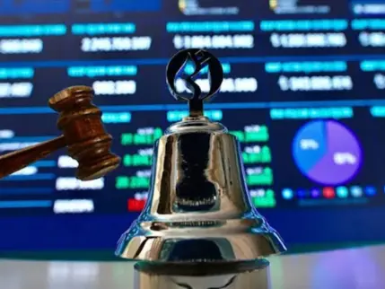 Daiichi Elektronik halka arz için ilk adımı attı