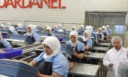 Dardanel'den 'hisse satışı' açıklaması geldi!