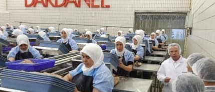 Dardanel'den 'hisse satışı' açıklaması geldi!