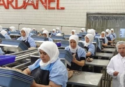 Dardanel'den 'hisse satışı' açıklaması geldi!