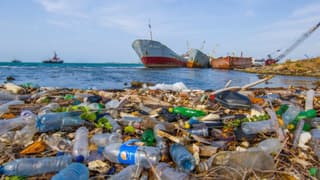 Deniz kirliliği sigortasında teminat tutarları artırıldı