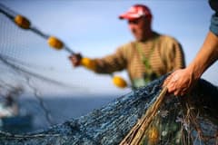 Denizlerde av yasağı yarın başlıyor