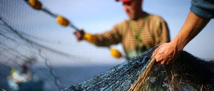 Denizlerde av yasağı yarın başlıyor