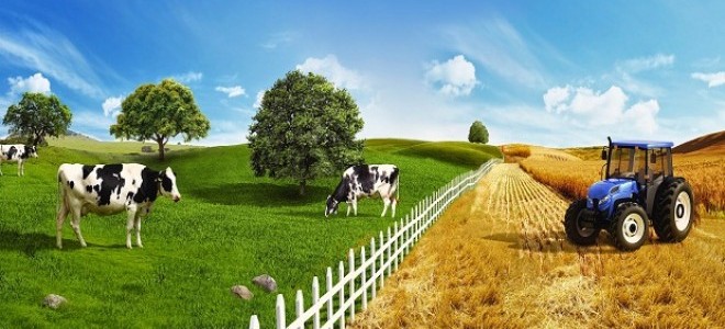 Diyarbakır'da 9'uncu Tarım ve Hayvancılık Fuarı 