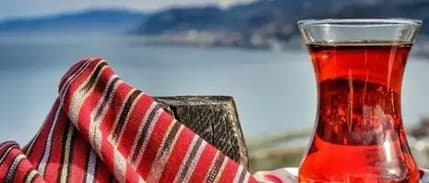 DKİB, Türk çayını Japonya'da tanıttı