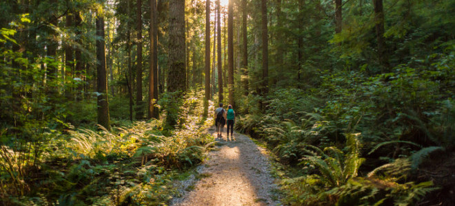 Doğa tutkunları için 6 alternatif rota önerisi