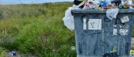 Doğaya zarar veren yatırımlar çevre dostu projeleri 30'a katladı