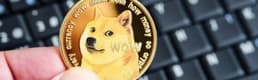 Dogecoin bir ay süren bir düşüşün ardından güç kazanmaya çalışıyor