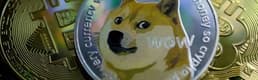Dogecoin, Bitcoin rekor seviyeye ulaştıktan sonra yükselmeye devam ediyor