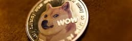 Dogecoin'in simgesi Kabosu hayatını kaybetti