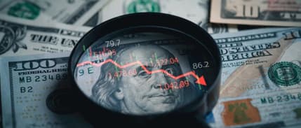 Doların küresel rezervlerdeki payı düşüyor