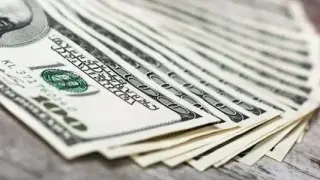 Döviz mevduatları yeniden yükselişe geçti