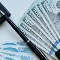Döviz mevduatlarında beş haftalık yükseliş serisi sonlandı
