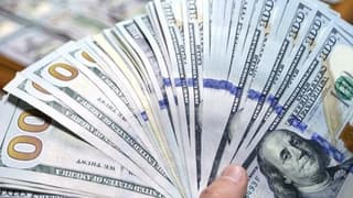 Döviz varlıkları Şubat'ta arttı