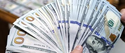 Döviz varlıkları Şubat'ta arttı