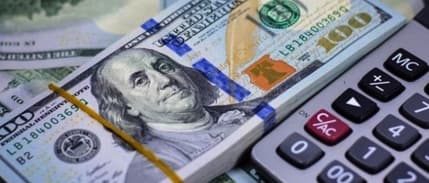 Dövizler hafif geriledi