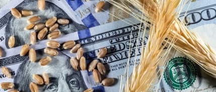 Dünya Bankası: Emtia fiyatları, faiz indirimlerini zorlaştırabilir