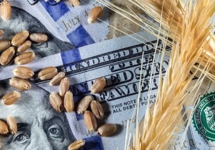 Dünya Bankası: Emtia fiyatları, faiz indirimlerini zorlaştırabilir